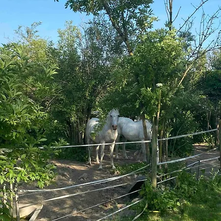 Apartament Quiet House Near Disneyland *